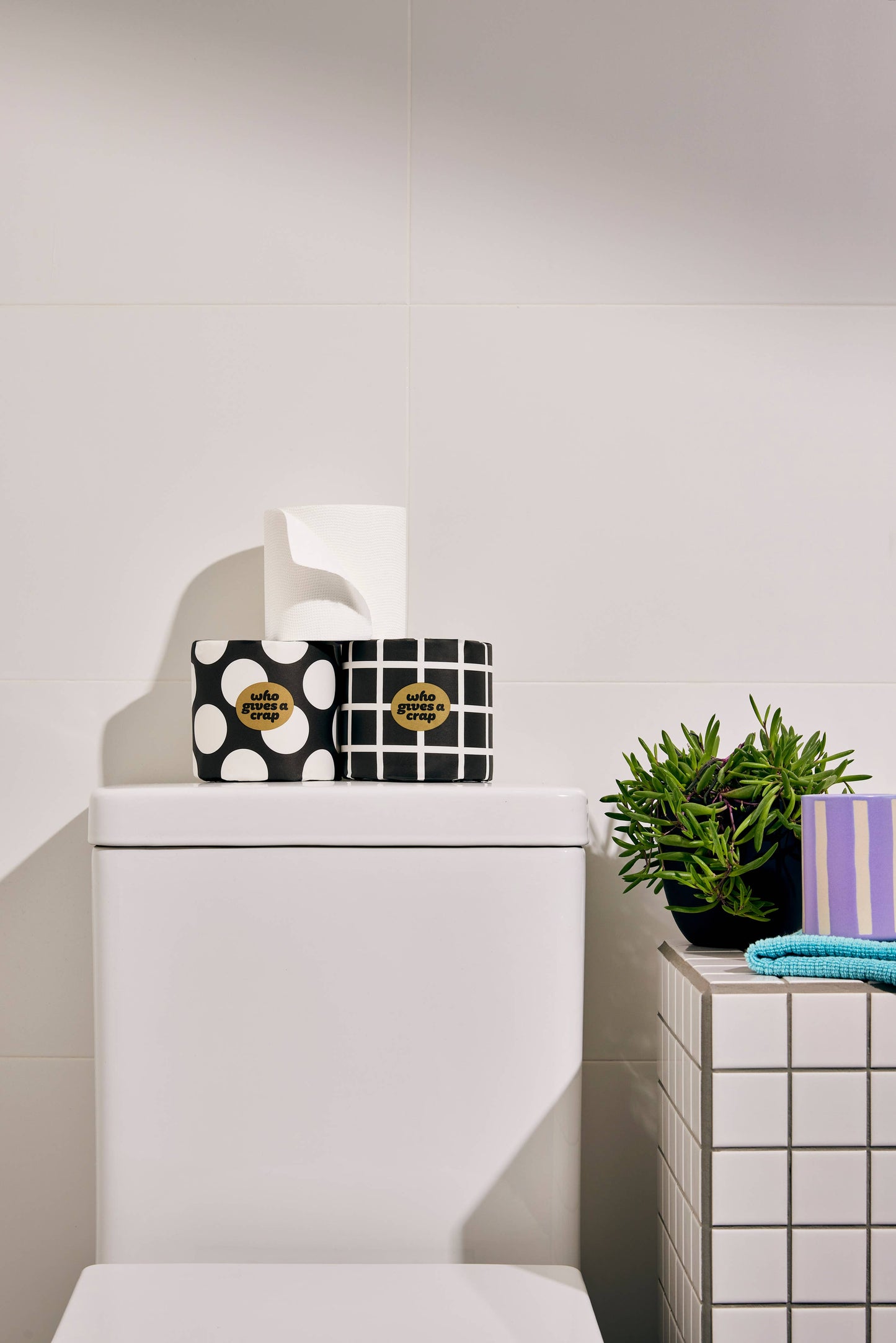 CC 100% Bamboo Toilet Paper - 48 Rolls