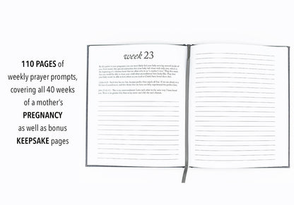 CC Dear Baby: A Pregnancy Prayer Journal & Memory Book for Moms