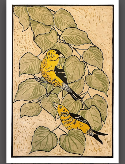 MR Goldfinches at Camp Friend Framed Print