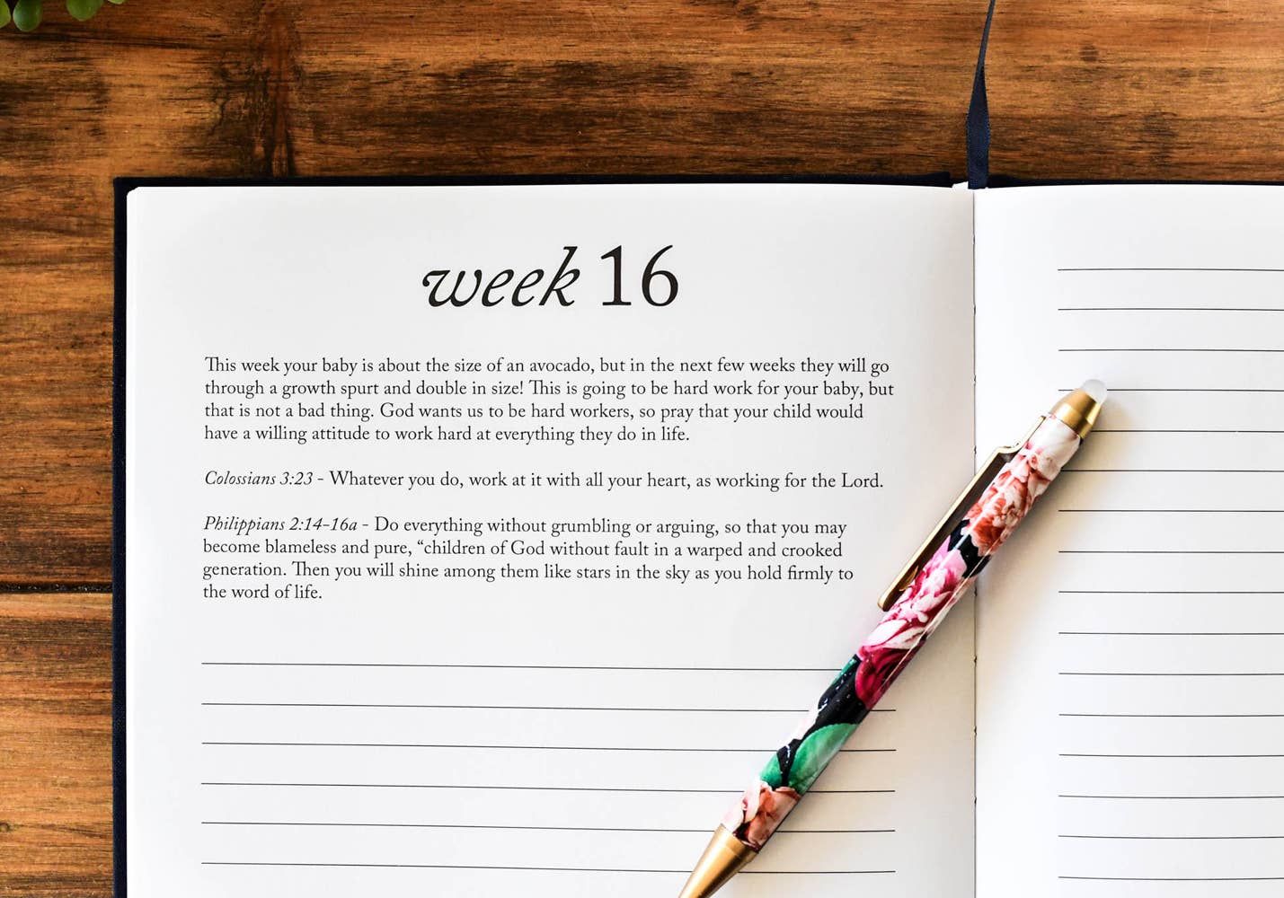 CC Dear Baby: A Pregnancy Prayer Journal & Memory Book for Moms