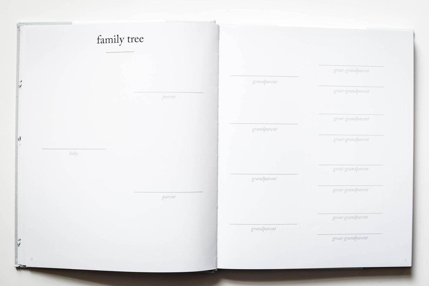 CC Baby's First Year Memory Book & Photo Album | Mother's Day