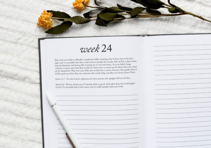 CC Dear Baby: A Pregnancy Prayer Journal & Memory Book for Moms