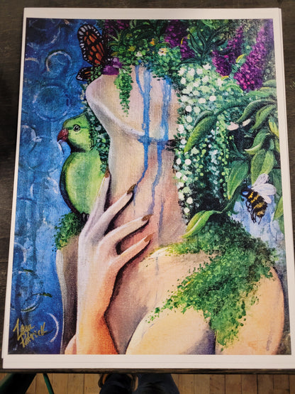 JAdP Prints Assorted