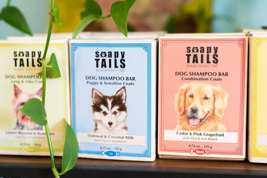 Soapy Tails- Shampoo and Conditioner for Dogs